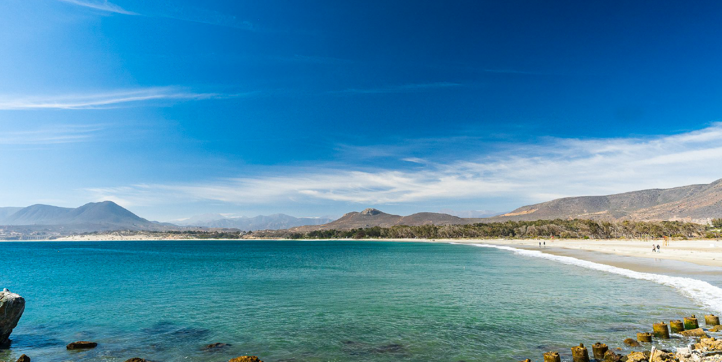 Pichidangui playa: Guía completa, cómo llegar, servicios y qué hacer